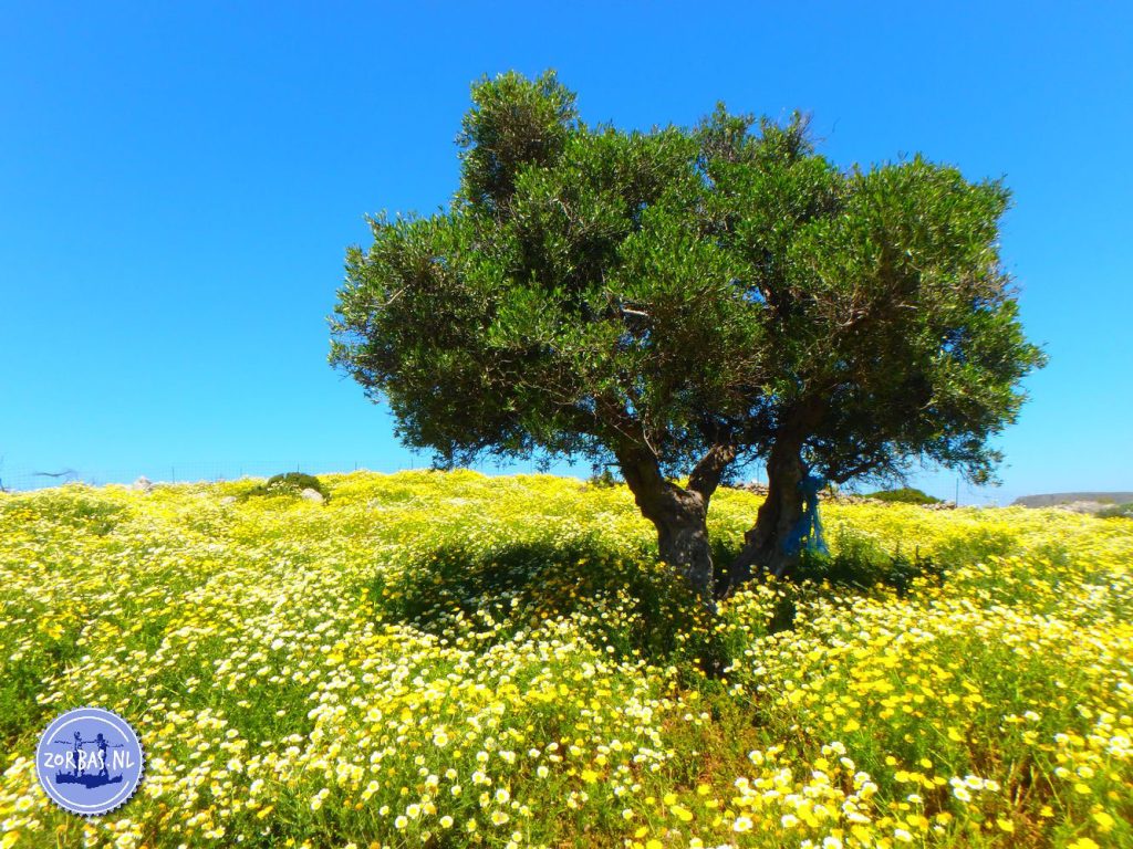 Jahreszeiten auf Kreta Griechenland