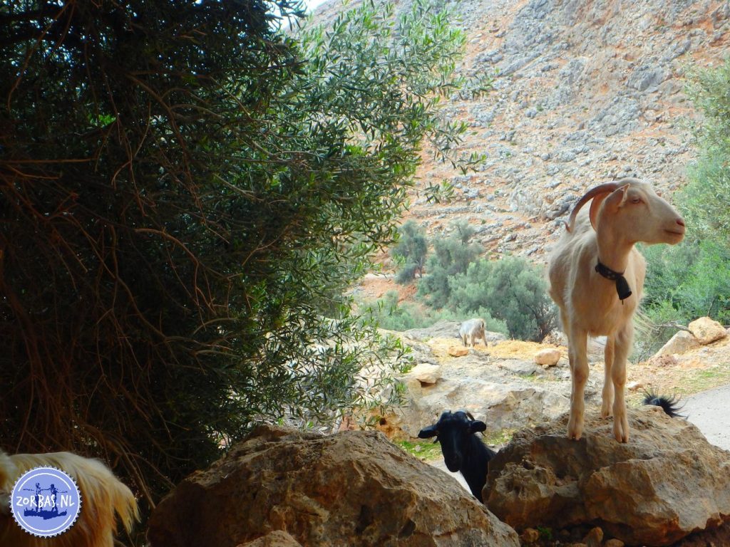 E4 Wanderung Südwest-Kreta