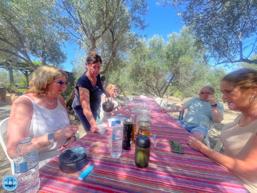 Cooking workshop in an olive field. Join Zorbas Island for a cooking workshop to learn how to prepare real greek dishes.