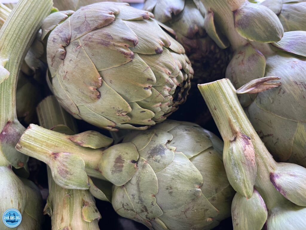 Greek dishes featuring artichokes are often "lathera" (oil-based vegetable stews) or pies, highlighting spring flavors with lemon, dill, and olive oil. The most famous dish is Aginares a la Polita, a stew of artichoke hearts, potatoes, carrots, and peas.