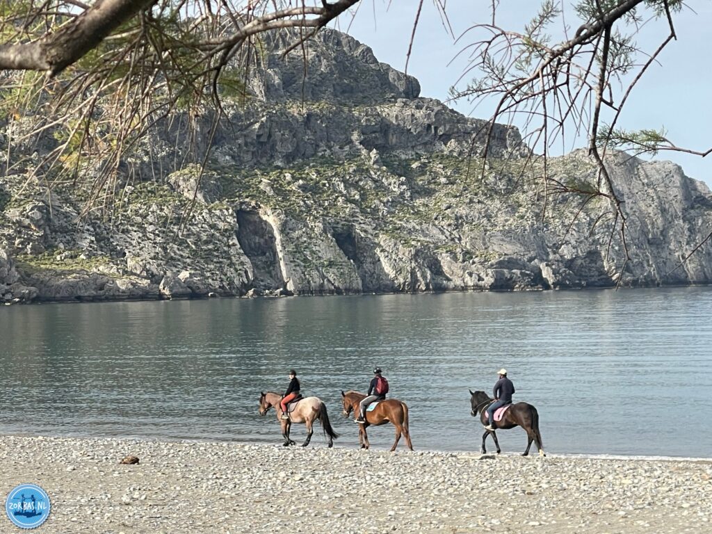 Horse riding excursions on Crete. Go for a ride throught the olive fields or on the beach