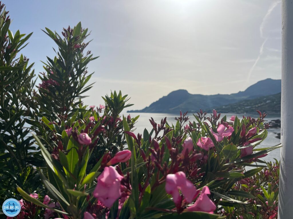 Discover Crete in the month of May. Peace has returned, and the temperatures are perfect for both relaxation and action. For those who decide quickly, we still have some great offers on Zorbas Island