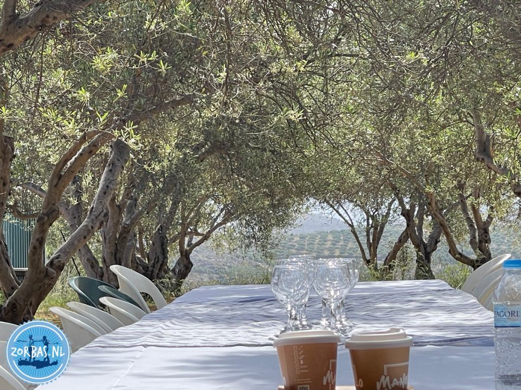 Een gezellige kookworkshop in onze olijfgaard in Anopoli vlak bij kokkini hani