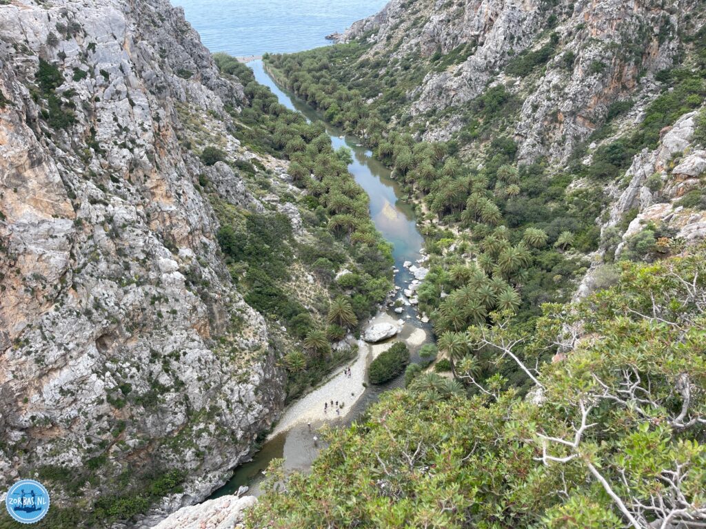 The Preveli Palm Forest is a famous, lush oasis located at the mouth of the Kourtaliótiko Gorge on the south coast of Crete, Greece. It is the second-largest palm forest in Crete, featuring the endemic Theophrastus date palm (Phoenix theophrasti) lining the banks of the Megalopotamos River as it flows into the sea