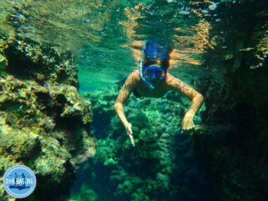 Do you like snorkelling? Get up early and join us on a snorkelling trip. The early morning hours are the best to see first the sun rise and then get into the water to enjoy the underwater world of Crete. If you're lucky you'll see a turtle!