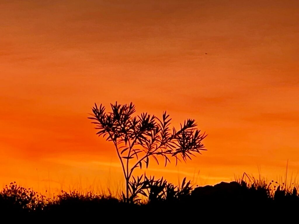 Enjoy the beautiful skies during a sunrise walk with Zorbas Island