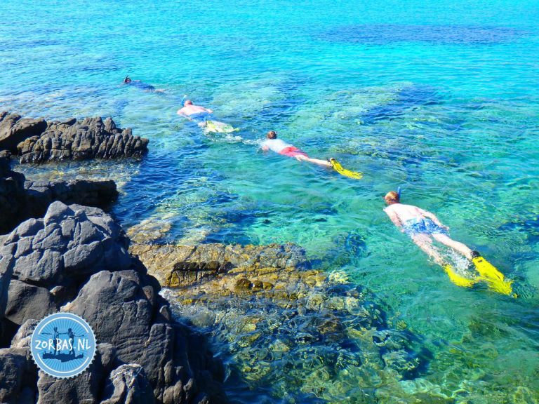 snorkelen is absoluut de moeite waard op Kreta. Met kristalhelder water, een zicht tot wel 20-40 meter en diverse rotsachtige baaien biedt het eiland uitstekende omstandigheden. Populaire plekken zijn Elafonisi, Balos Lagoon en Skinaria Beach, waar je vissen, octopussen en soms zeeschildpadden kunt spotten.