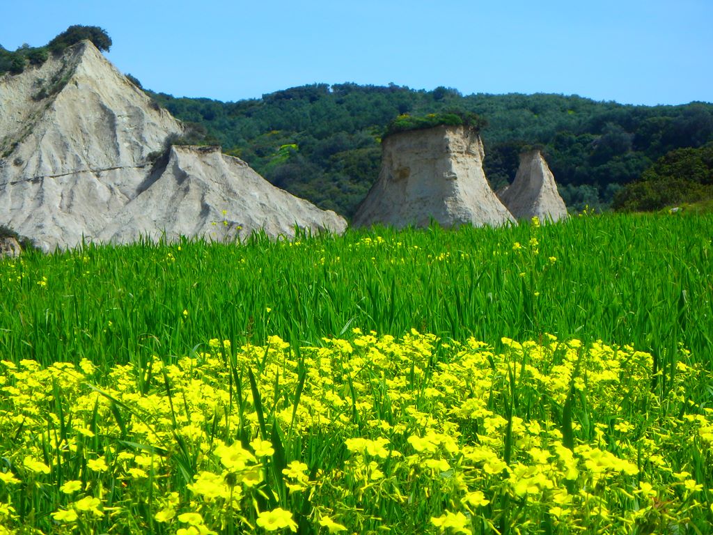 Bloemen wandelingen in het voorjaar 2027 op Kreta